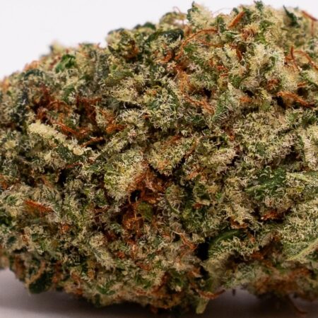 kriptonite usa bud