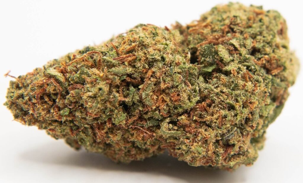 Lifter USA Bud