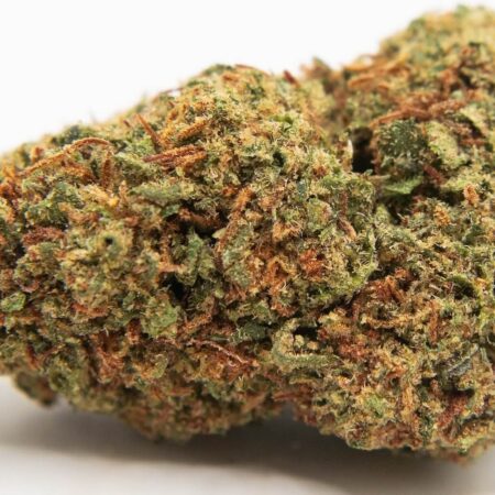 Lifter USA Bud