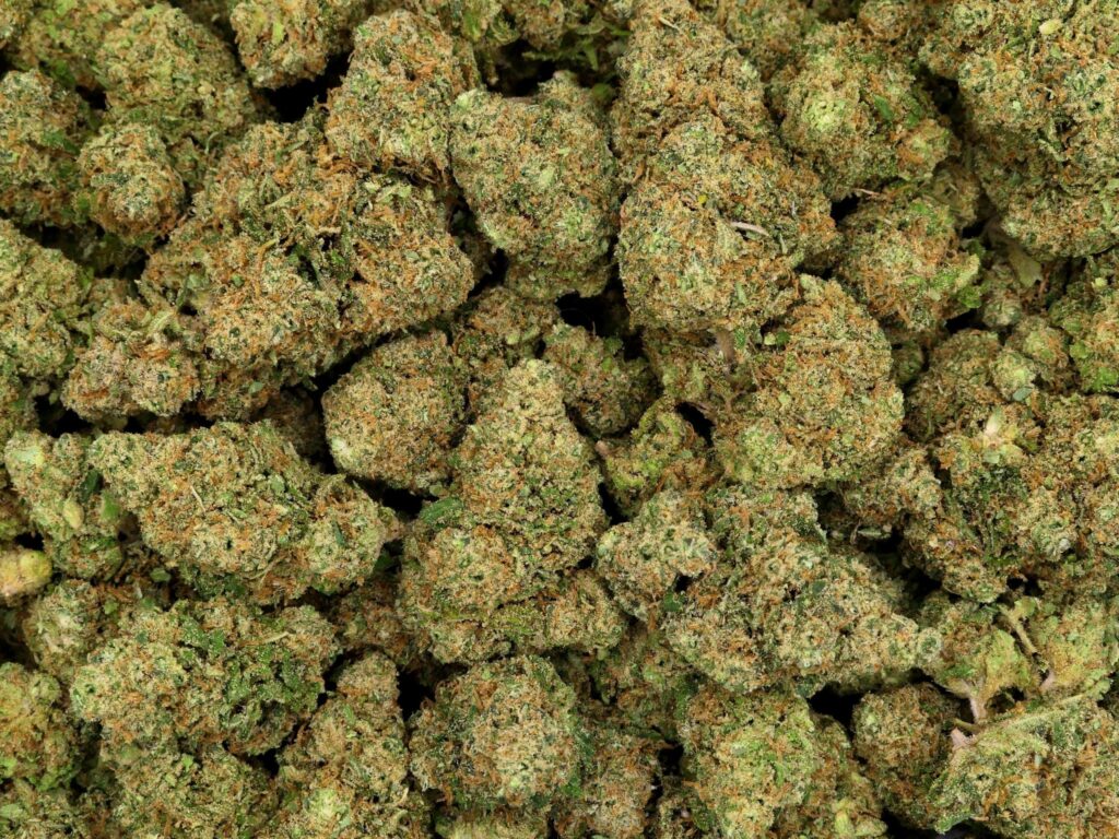 PEANUT BUTTER RUNTZ CBD-BLOEM