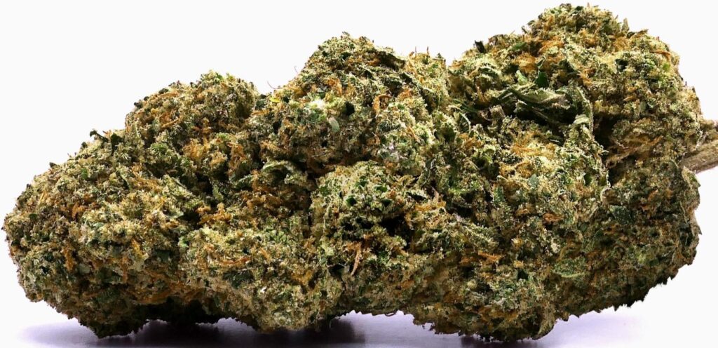 PEANUT BUTTER RUNTZ CBD-BLOEM