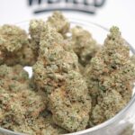 Solero Cream Hydro