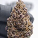 Tarmac Fleur de CBD Big Bud
