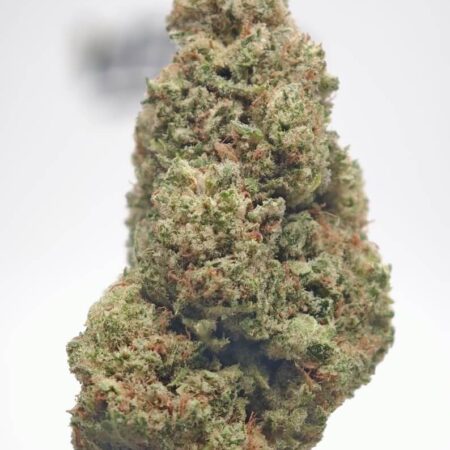 chemdog bud