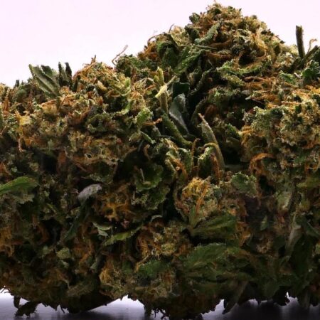 WATERMELON HAZE FLOR DE CBD