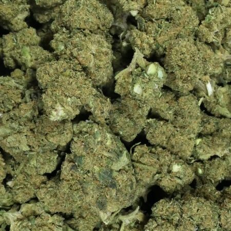 SEMENTE DE ERVA CBD FLOR