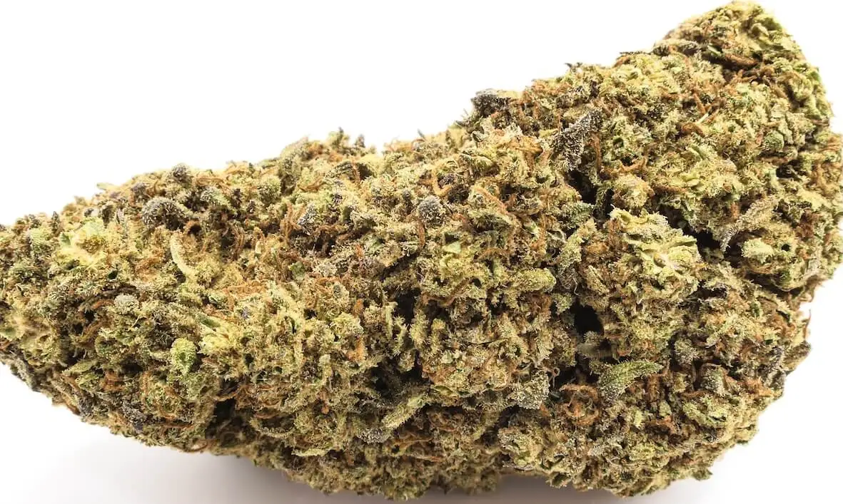 strawberry fleur de cbd fiore di cbd alla fragola