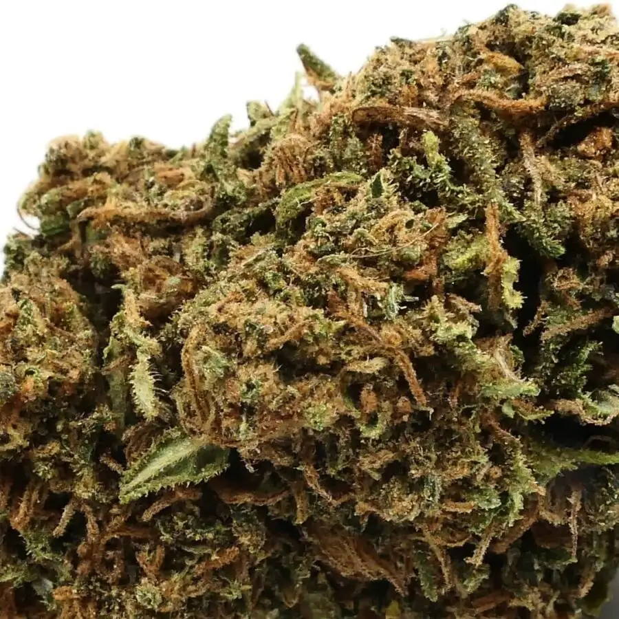SAJT - CBD VIRÁG
