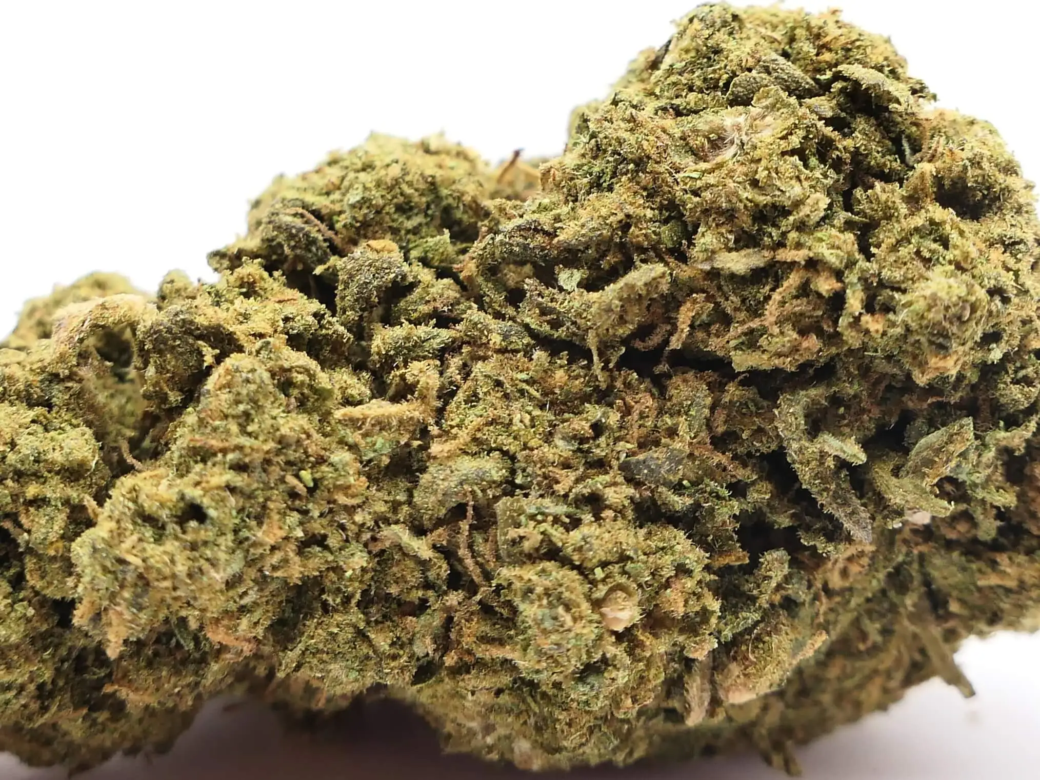 GELATO GELATO BLUME VON CBD