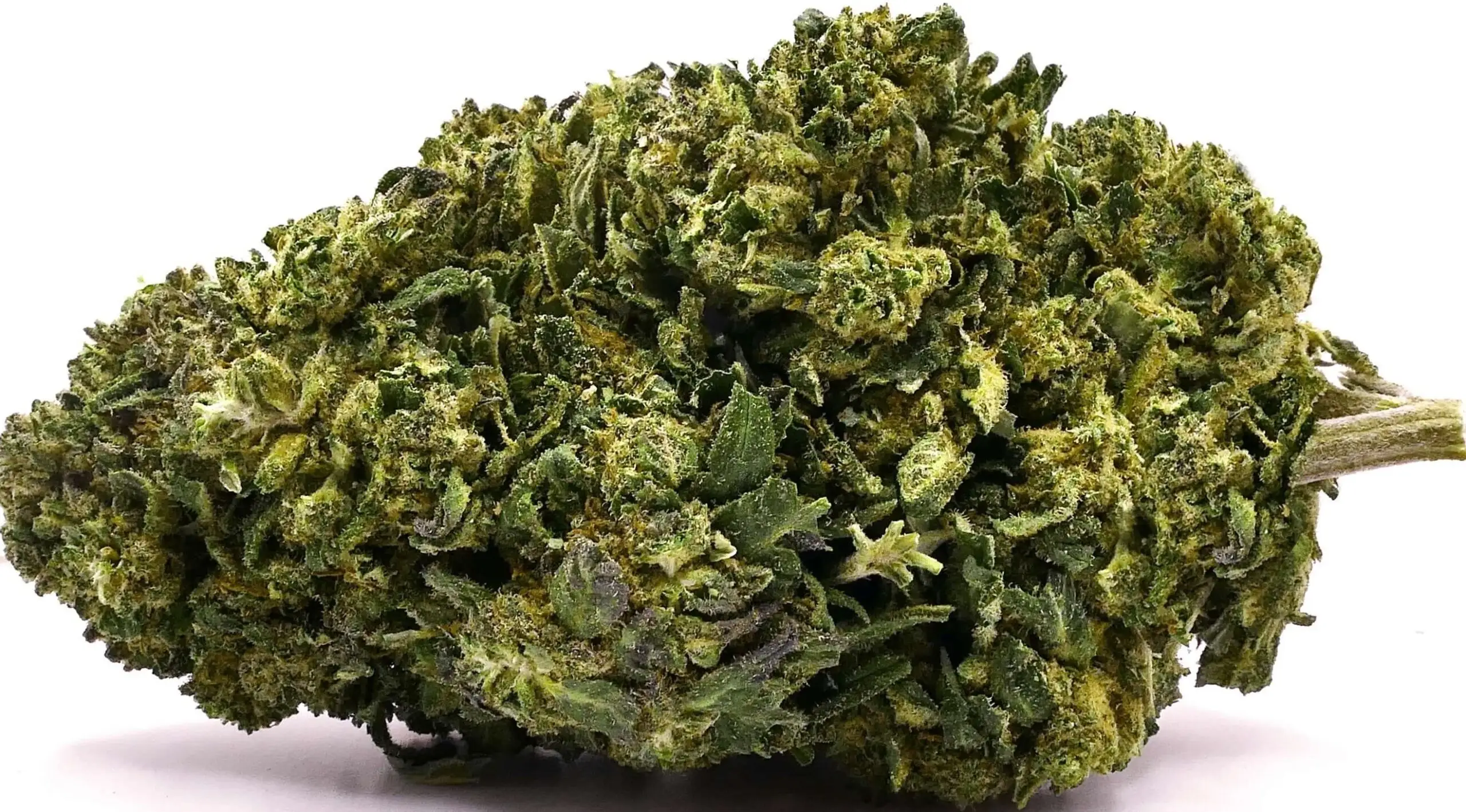 GELATO AI FIORI DI CBD