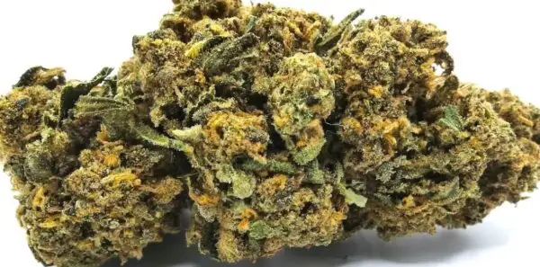 gelato ai fiori di cbd