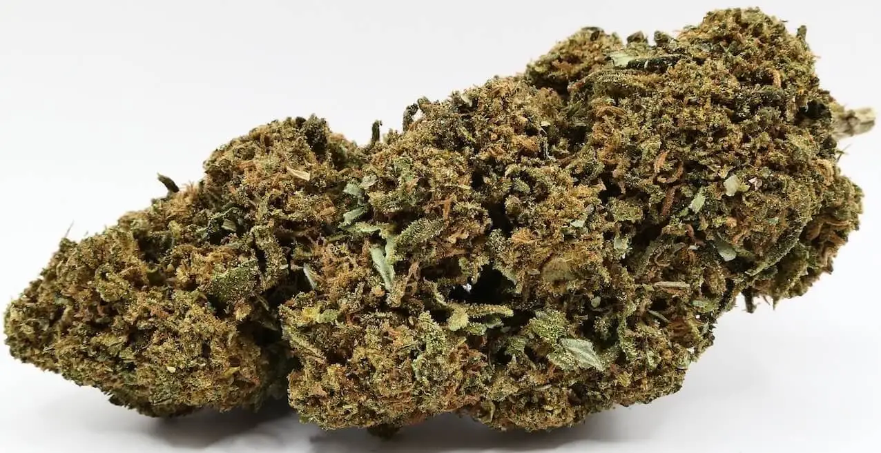 dieseltonic fleurs de cbd