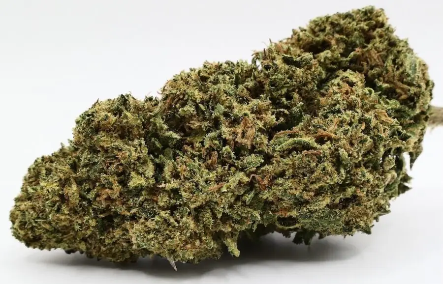 AK47 CBD-Blüten
