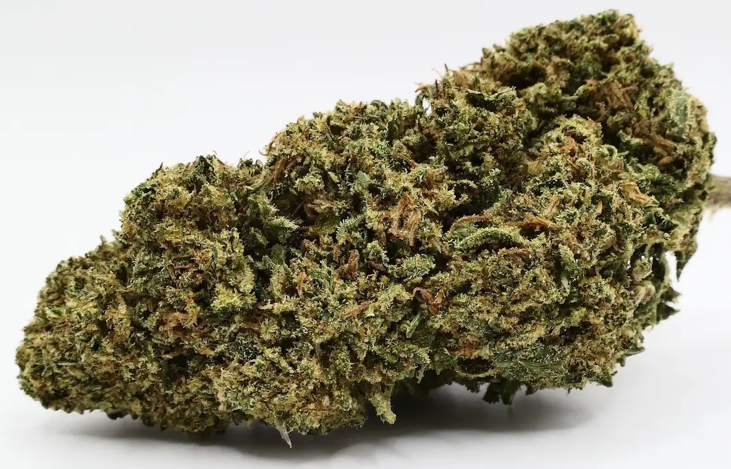 AK47 Fleurs de CBD AK47 CBD Flowers