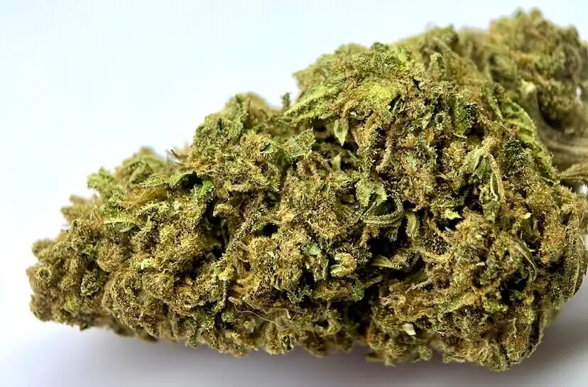 WHITE WIDOW CBD