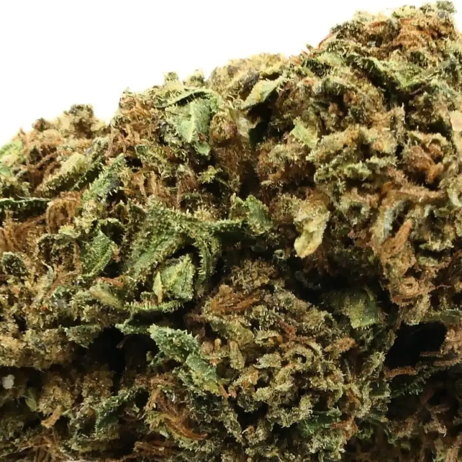 CANNADIESEL - FIORE DI CBD