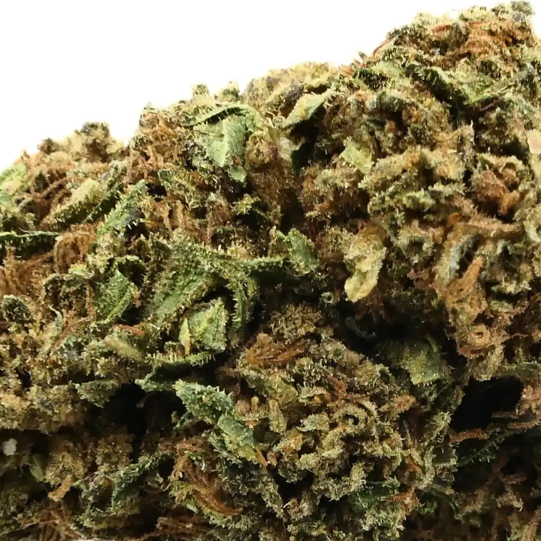 CANNADIESEL - CBD FLOWER