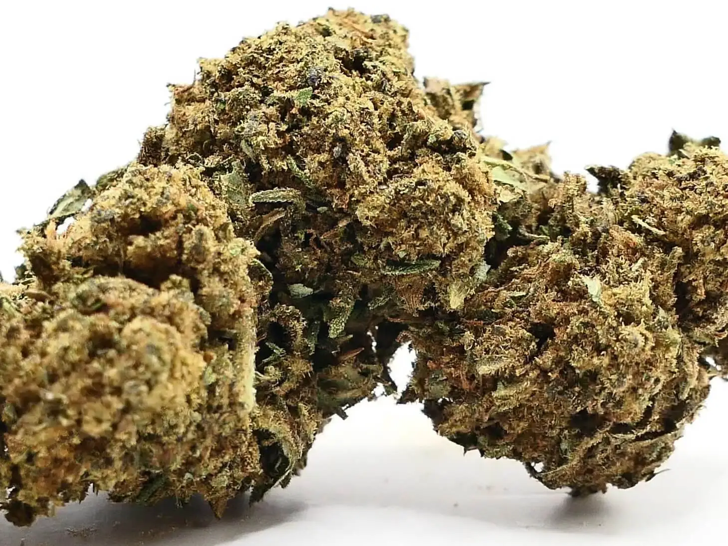 MEDIHAZE FLEUR DE CBD MEDIHAZE FLEUR DE CBD