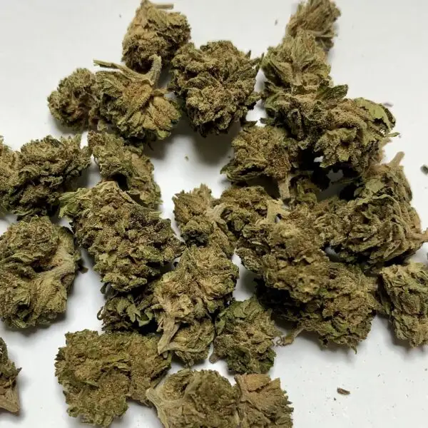 CBD-Blumen und -Produkte small bud OG