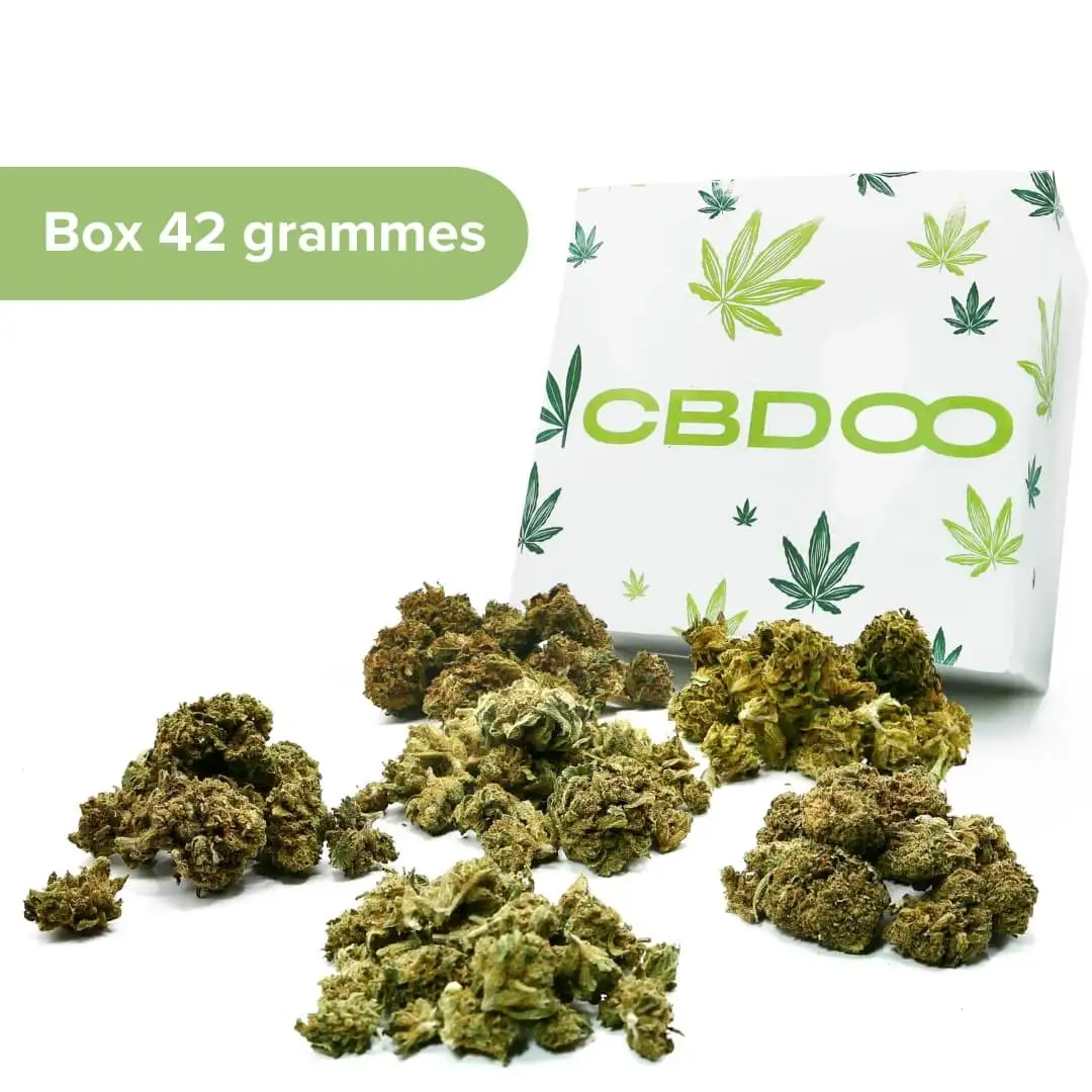 SMALL BOX BUD MASTER