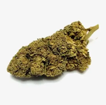 AMNESIA CBDOO Amnesia CBD-Blüten