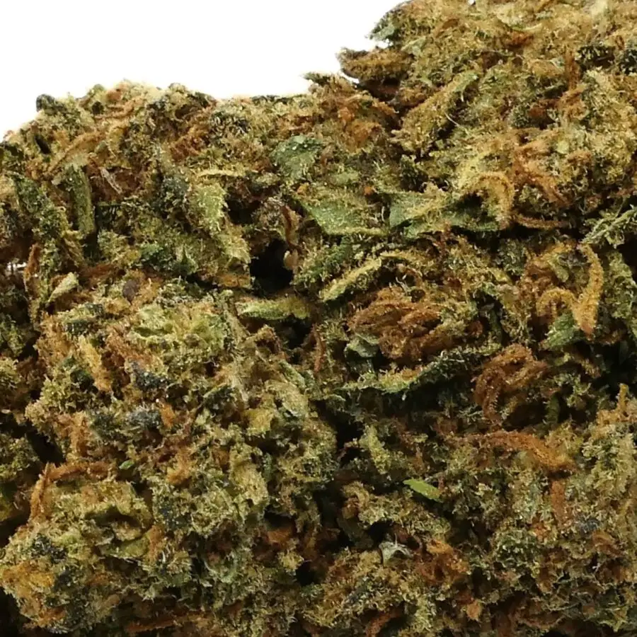 CANDY KUSH - FLOR DE CBD