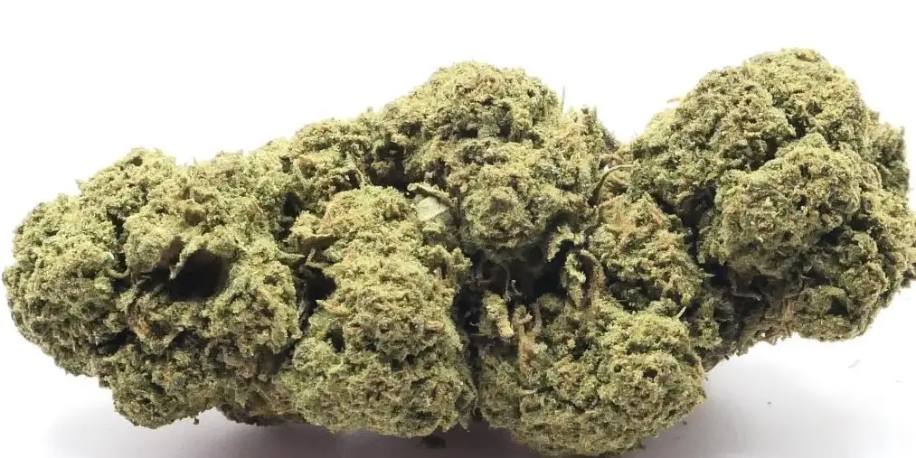 TANGERINE DREAM FLEUR DE CBD