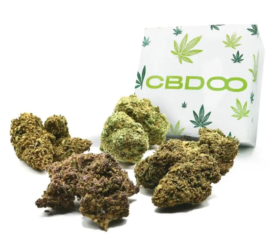 BOX signature cbd
