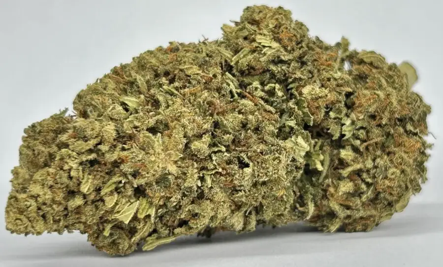 Legendarische Punch cbd bloemen