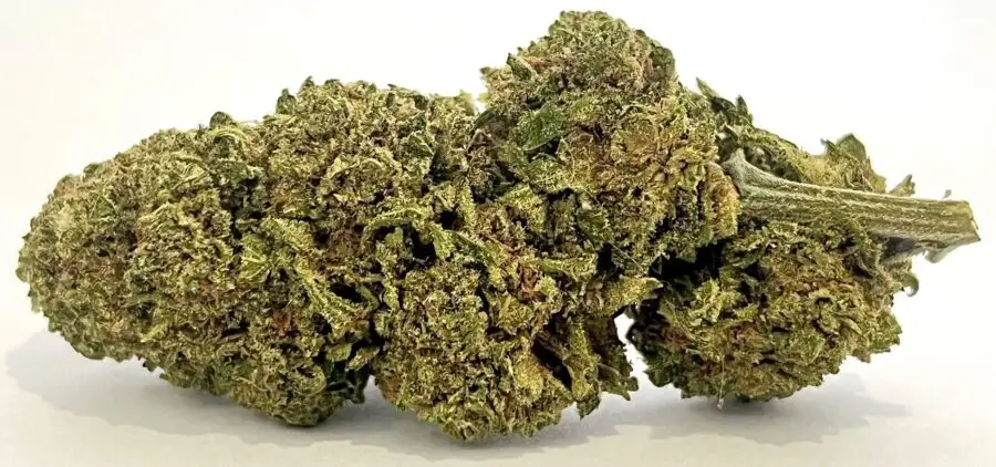 Greenkush CBD-Blüten