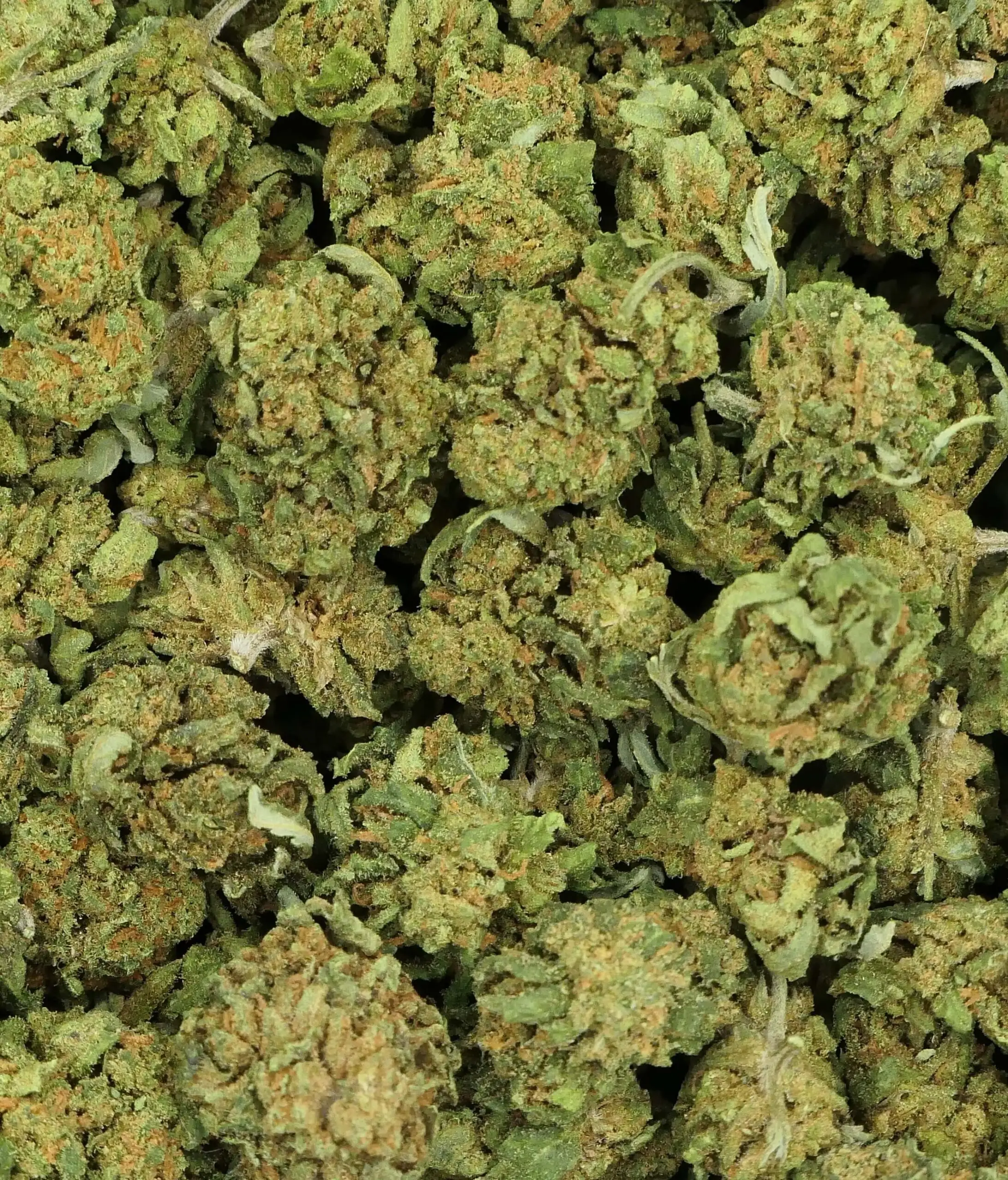 SMALL BUD BERRIES SMALL BERRIES CBD FLOWER