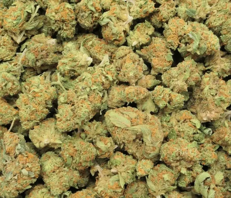 small bacche gemme fiore cbd