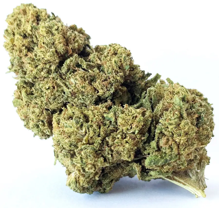 Dieseltonic fleurs de CBD