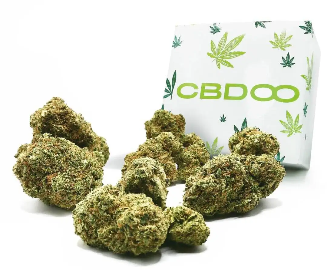 doos hydro cbd