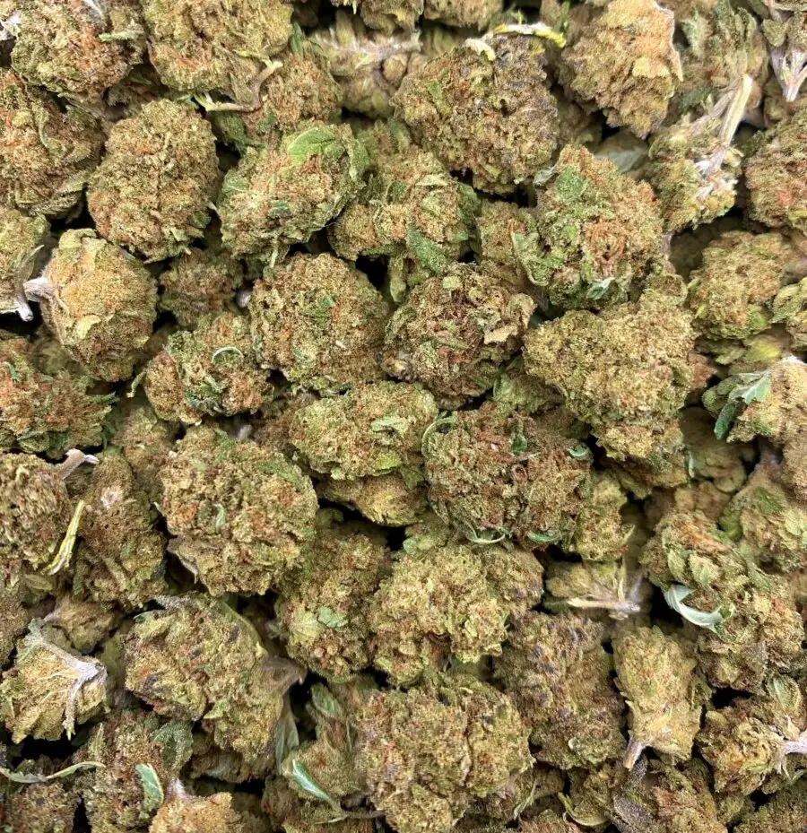 Small Flor de CBD Bud Amnez