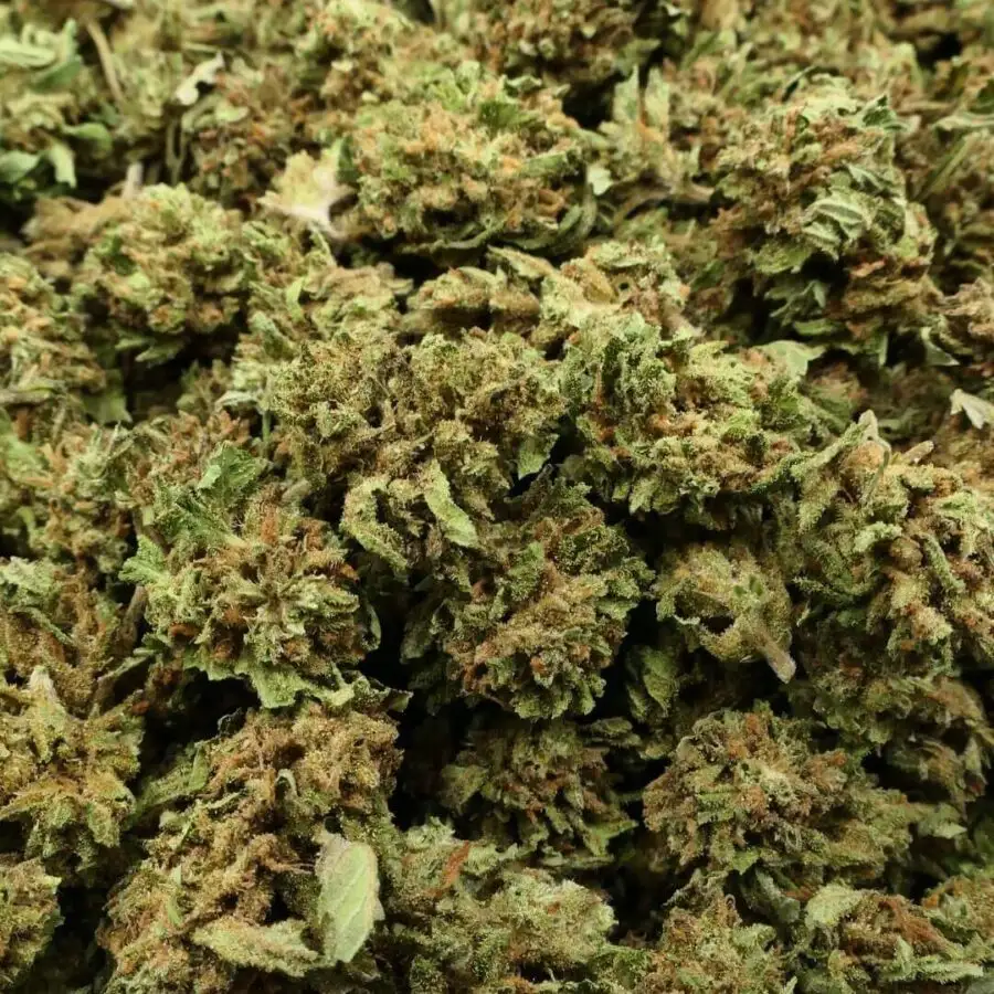 SB COSMIC COOKIES - FLOR DE CBD