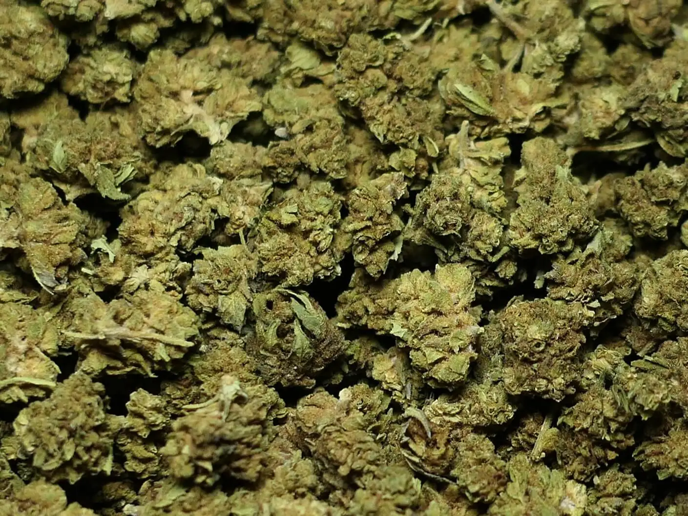 SMALL AMNEZ CBD VIRÁG