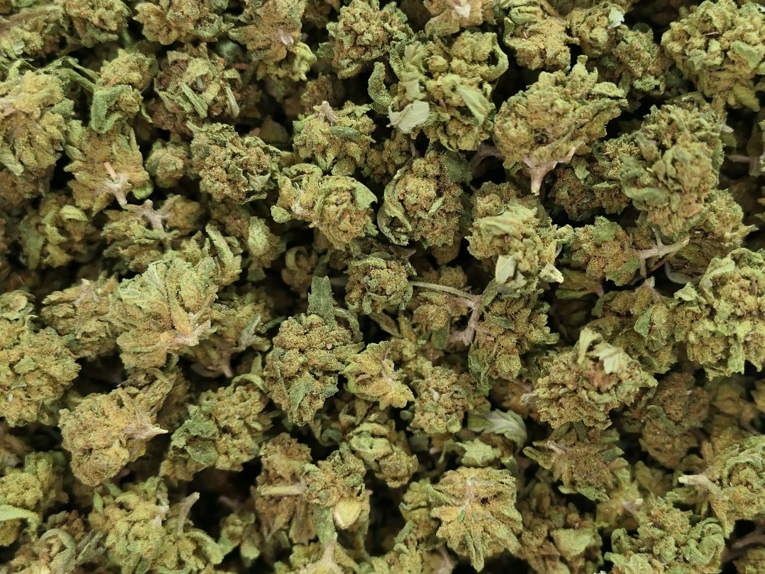 SMALL EXTRA CBD FLOWER