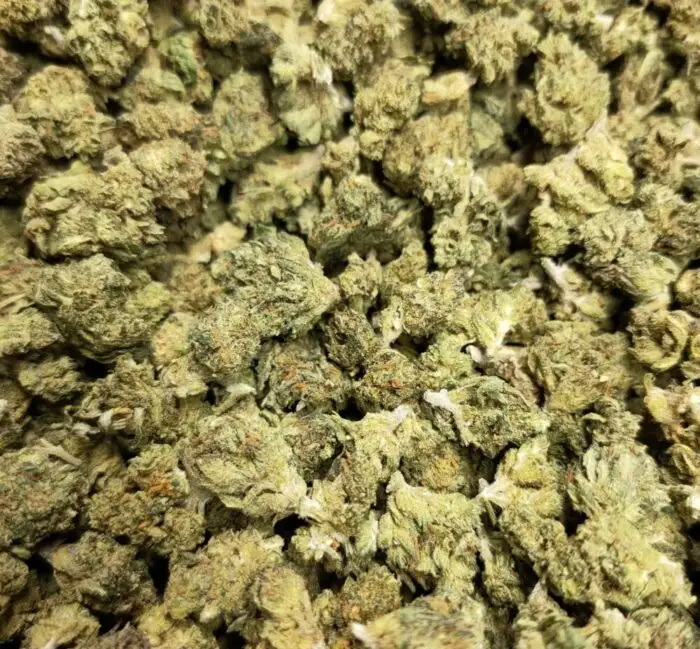 Small Bud Emerald Jack Small Bud Emerald Jack