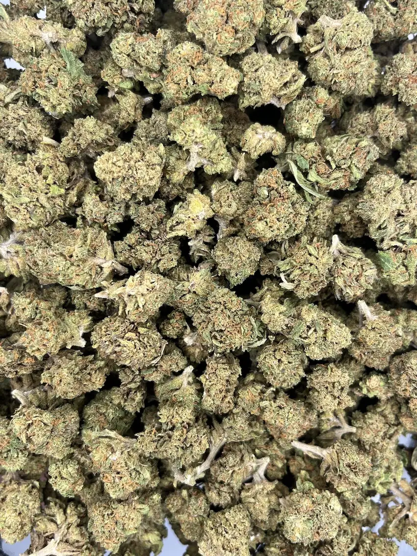 small bud extra cbd flores
