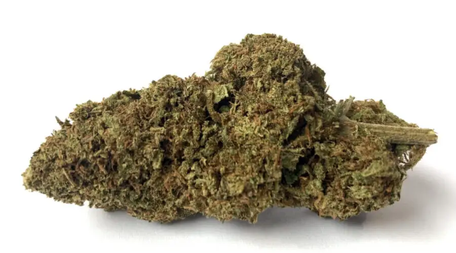 Flores Candy Kush strawberry CBD