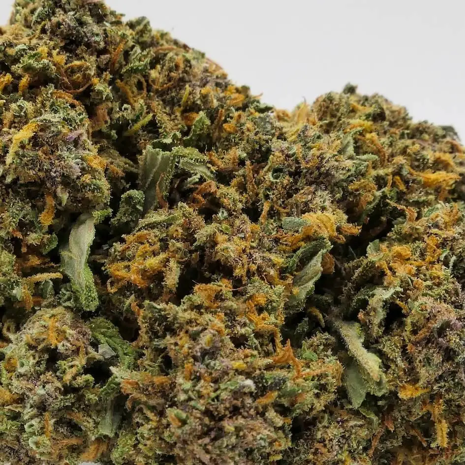 gorilla glue gorilla glue CBD