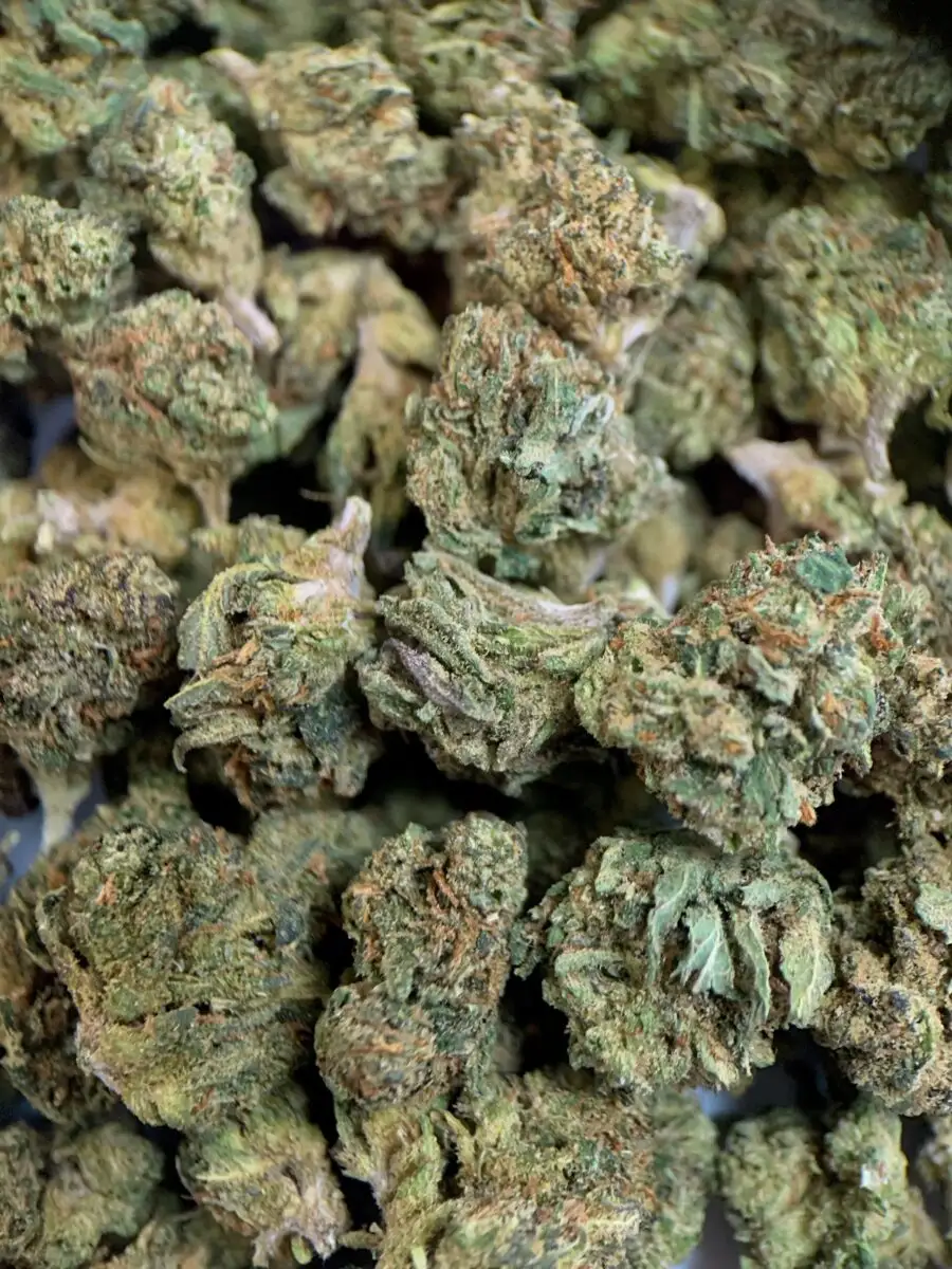 SMALL BUD RUNTZ CBD