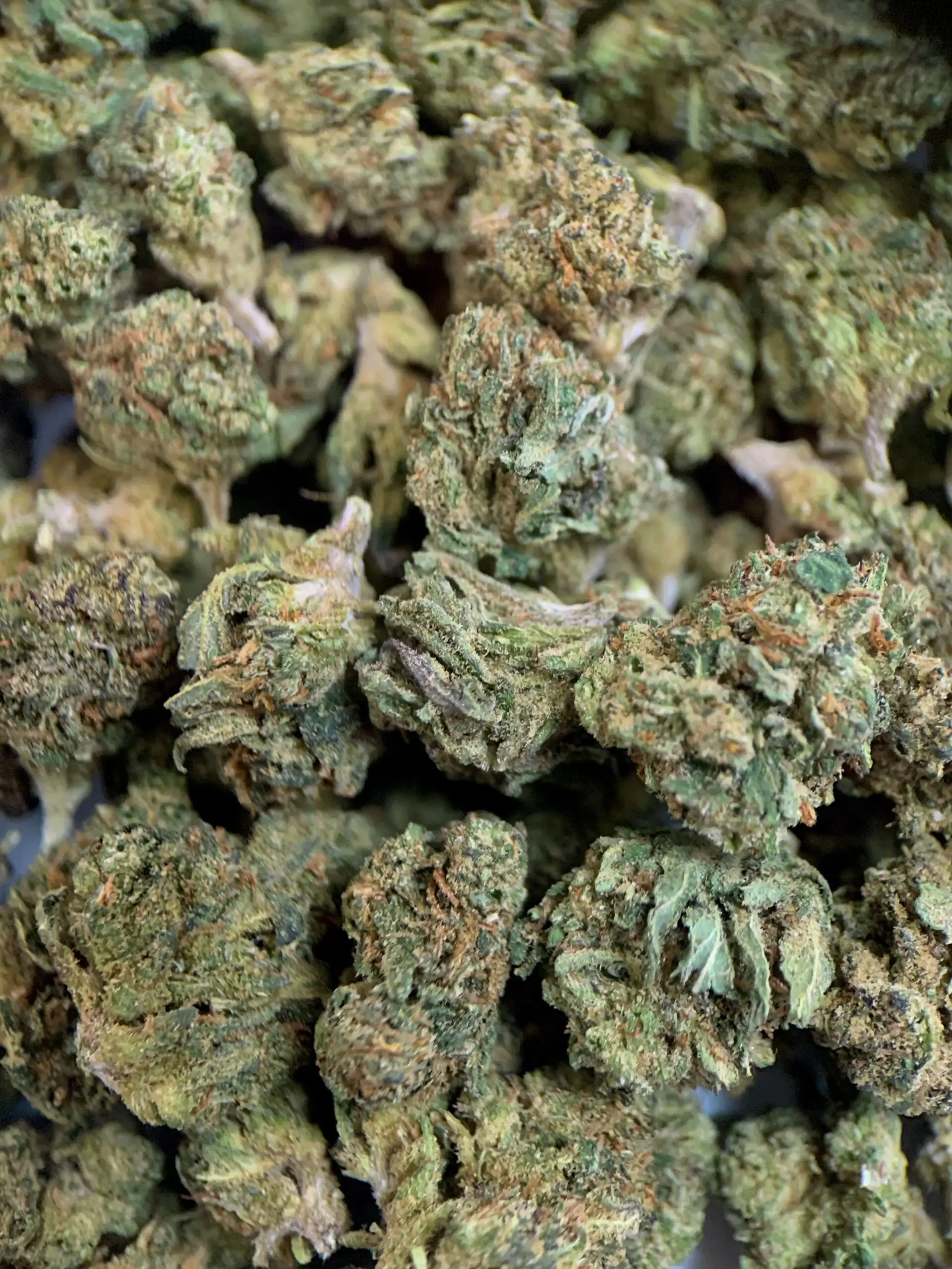 Small Bud Runtz SMALL BUD RUNTZ CBD