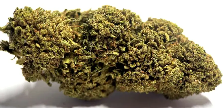 Tangi Tonic CBD-Blüten