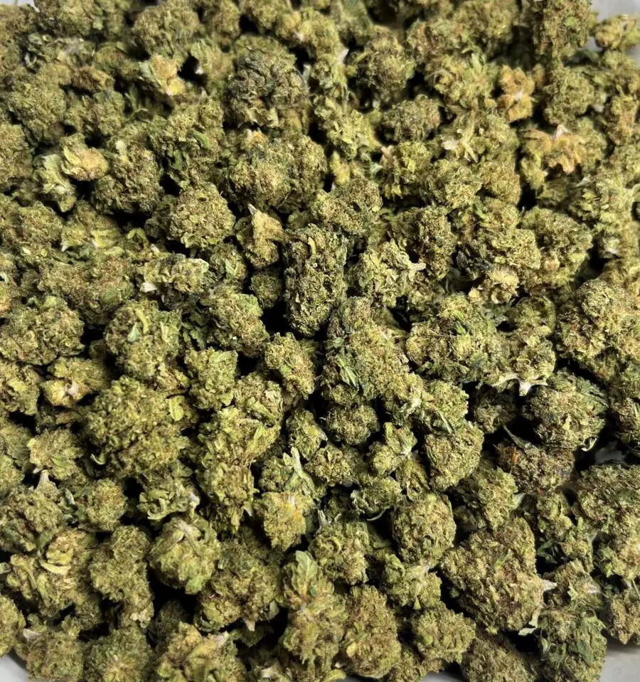 small bud apple punch cbd flores