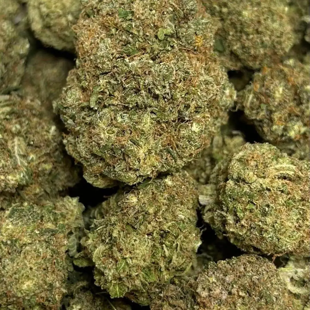 BLUEBERRY KUSH - FLEUR - CBD BLUEBERRY KUSH - FLOR - CBD