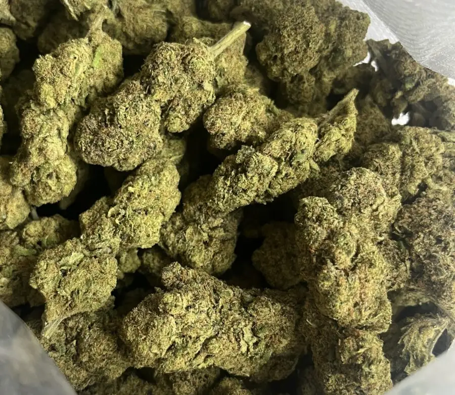 Cali Kush hydroponische Blumen