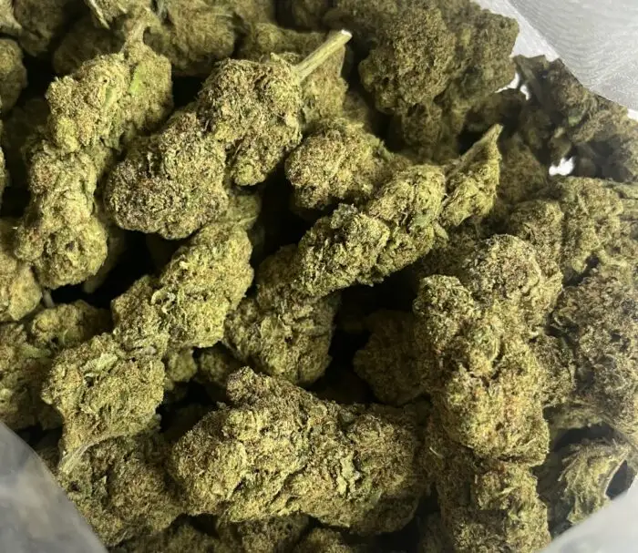 Cali Kush flores hidropónicas