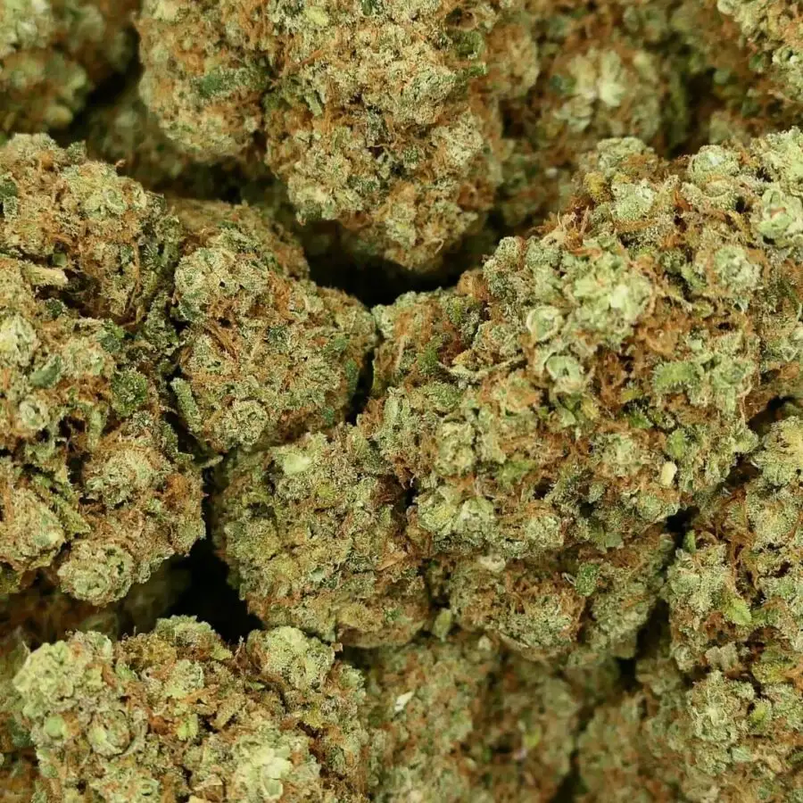 SKYWALKER OG - HYDRO FLOWER - CBD
